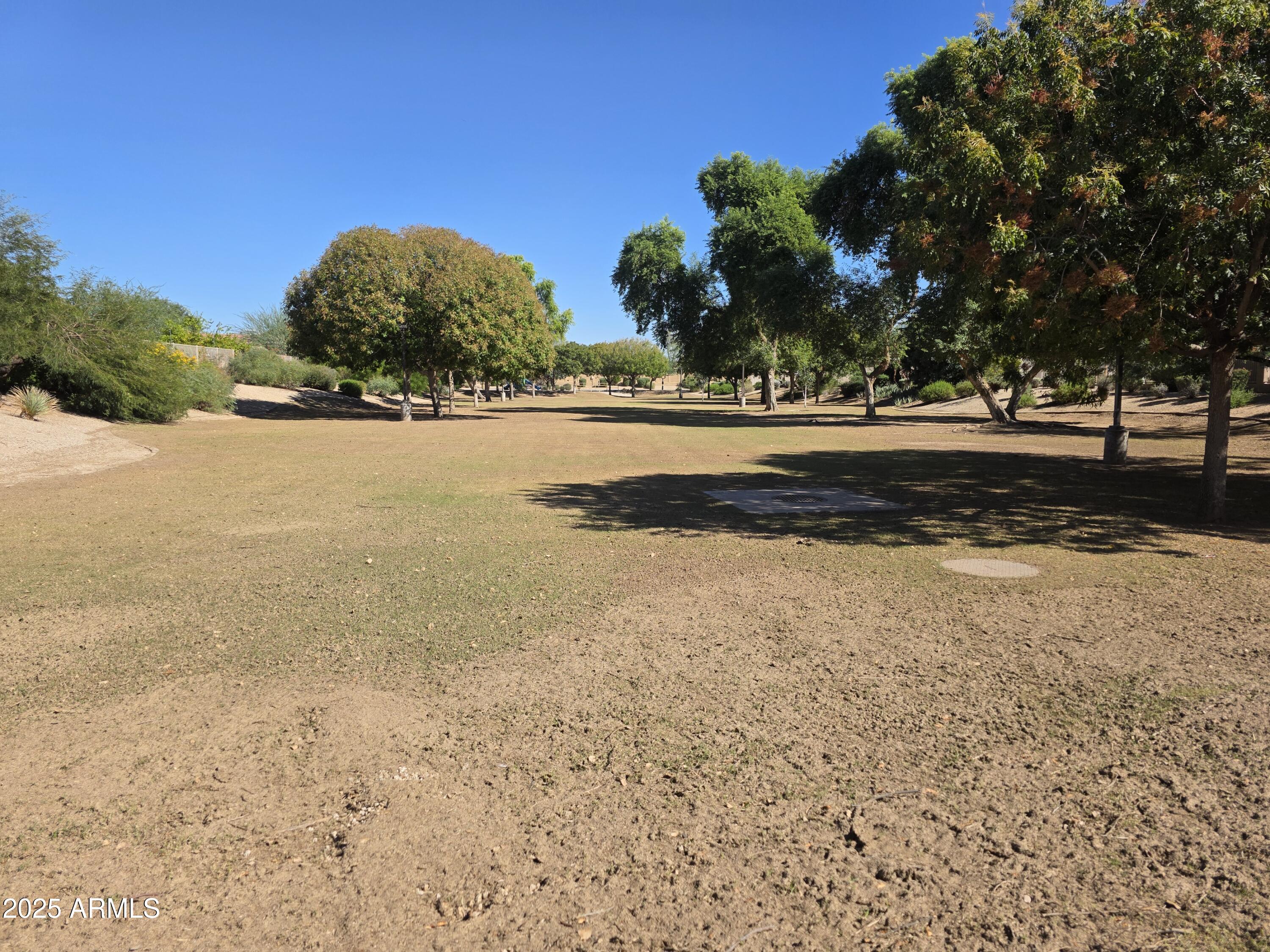 1162 East Springfield Place Chandler, AZ 85286 - Photo 26 of 27 a view of lake view