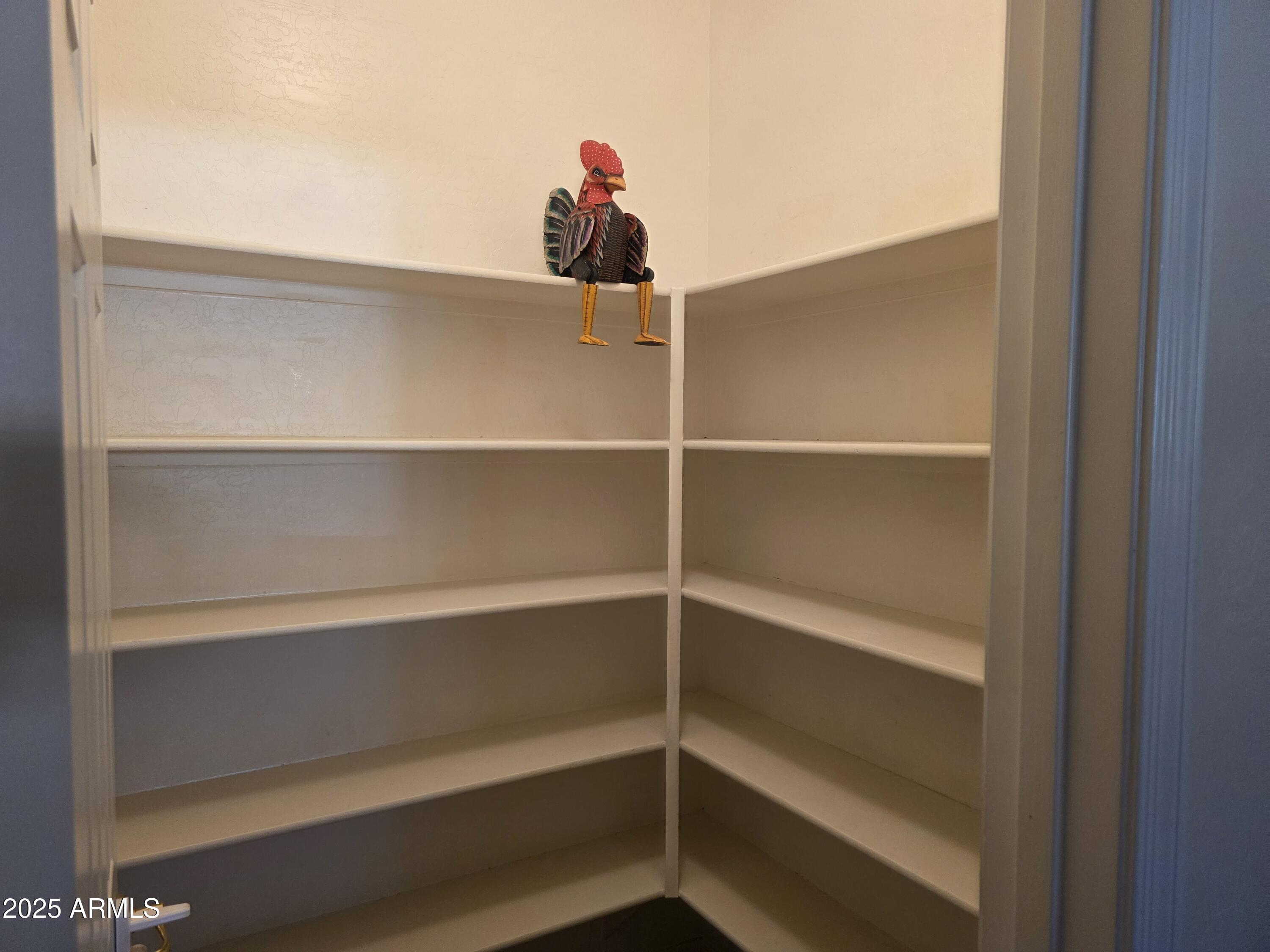 1162 East Springfield Place Chandler, AZ 85286 - Photo 9 of 27 a view of a room with shelf