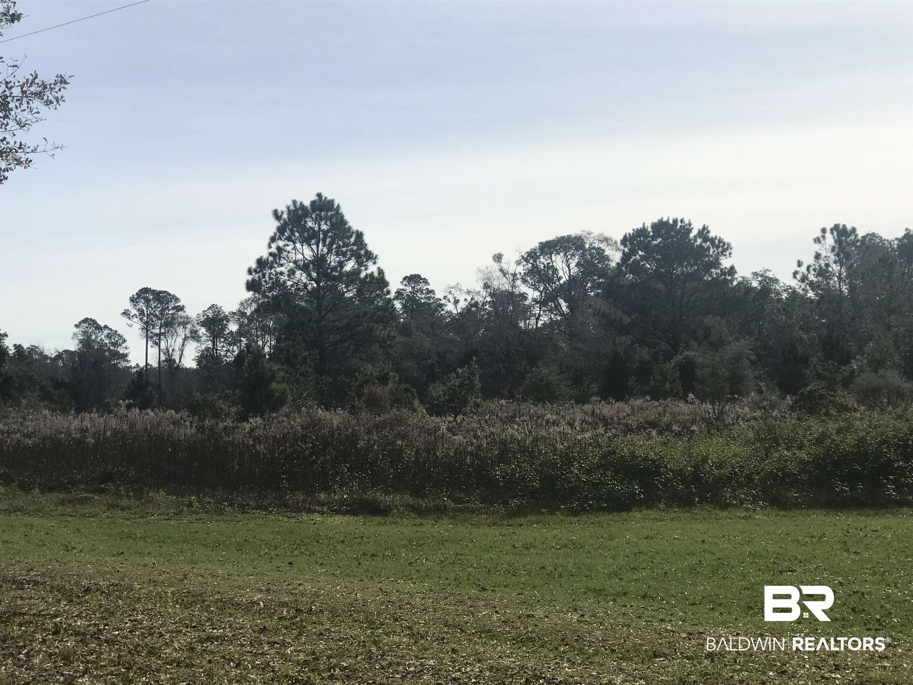 0 Steadham Lane Robertsdale, AL 36567 - Photo 3 of 24