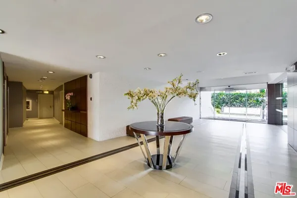a view of a hallway with a potted plant