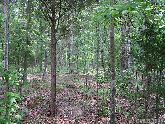11577 Troutman Road, Unit LOT 2 Midland, NC 28107 - Photo 3 of 4 Gallery Image 3