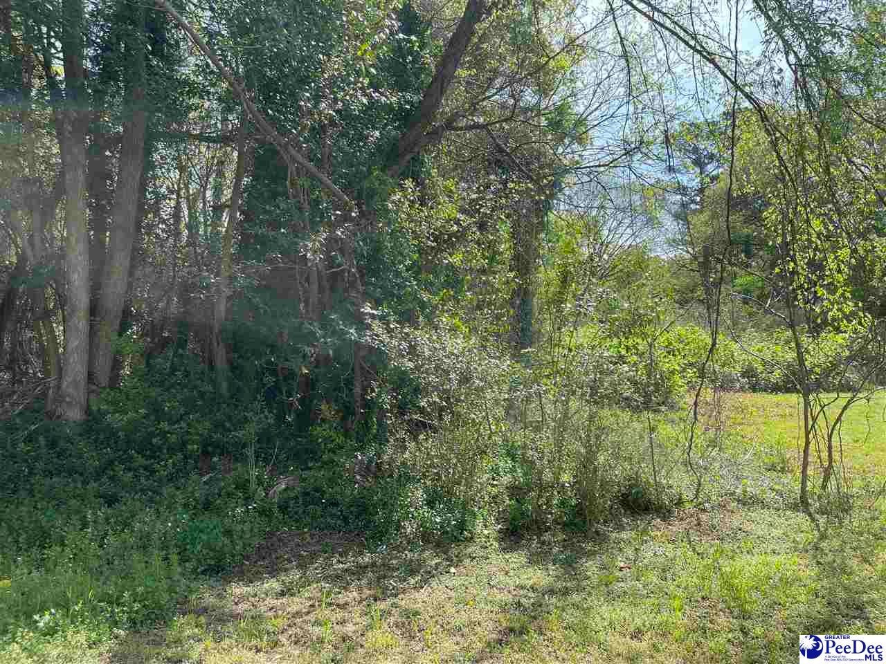 2 Hurst Avenue Chesterfield, SC 29709 - Photo 1 of 1 Gallery Image 1