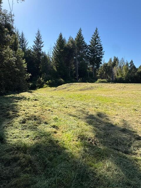 37430 Alderpoint Road Blocksburg, CA 95514 - Photo 11 of 18