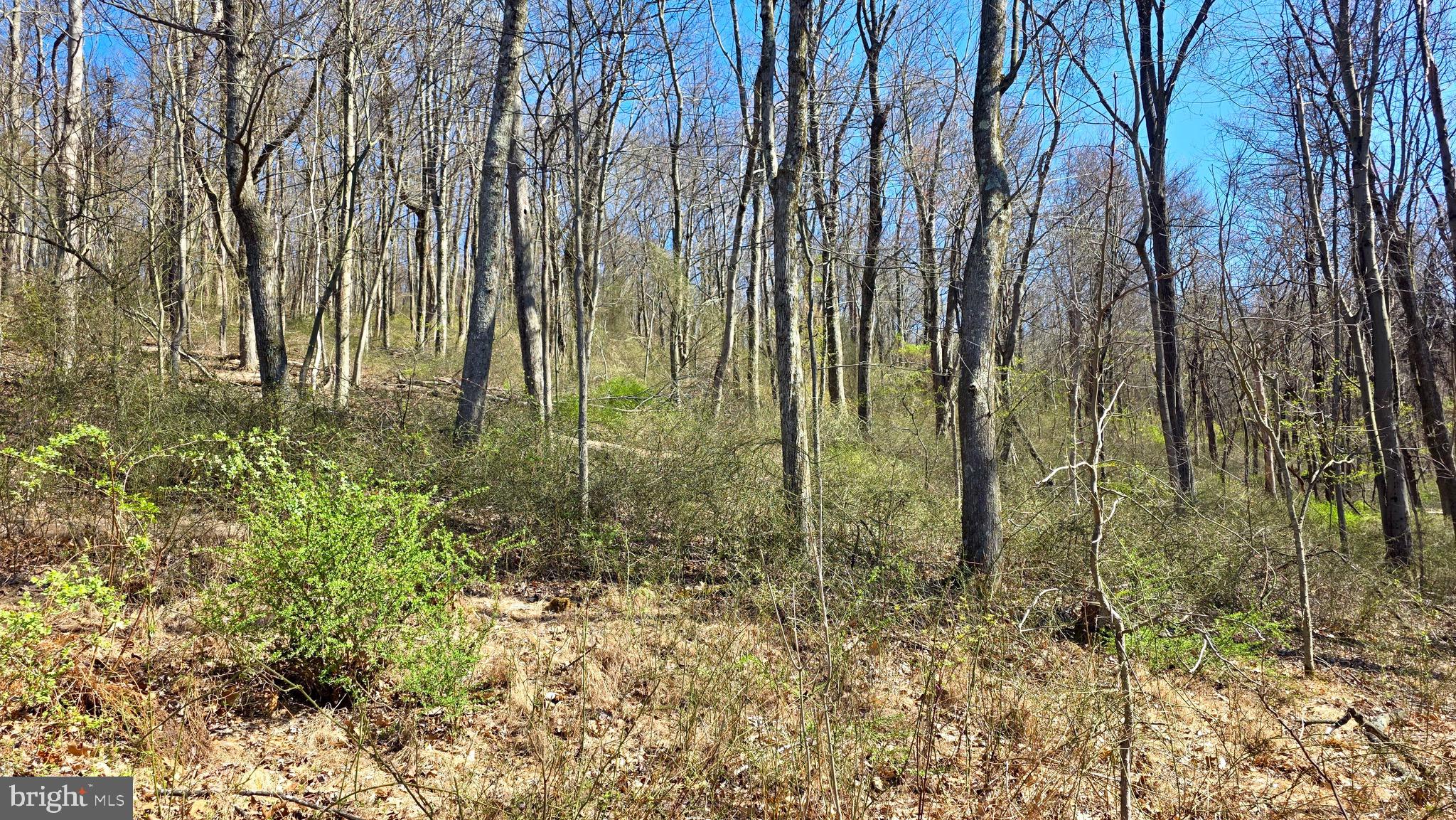 9206 Barkley Lane Huntingdon, PA 16652 - Photo 75 of 88