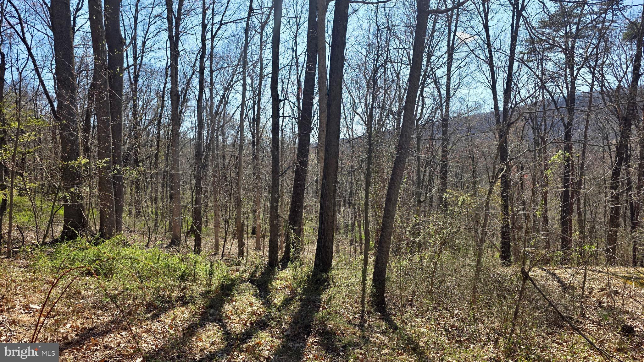 9206 Barkley Lane Huntingdon, PA 16652 - Photo 76 of 88