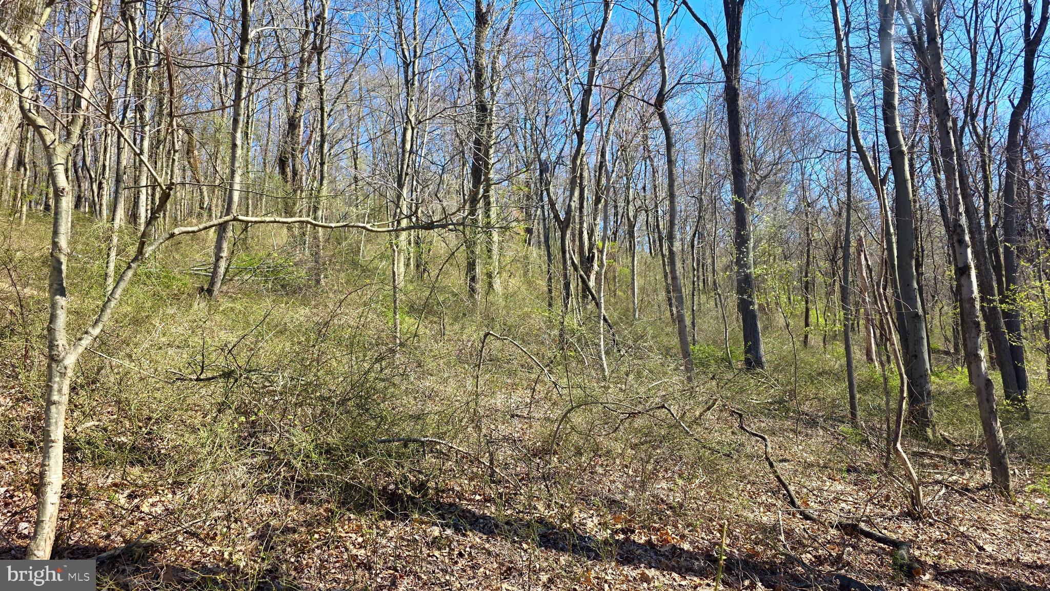 9206 Barkley Lane Huntingdon, PA 16652 - Photo 80 of 88