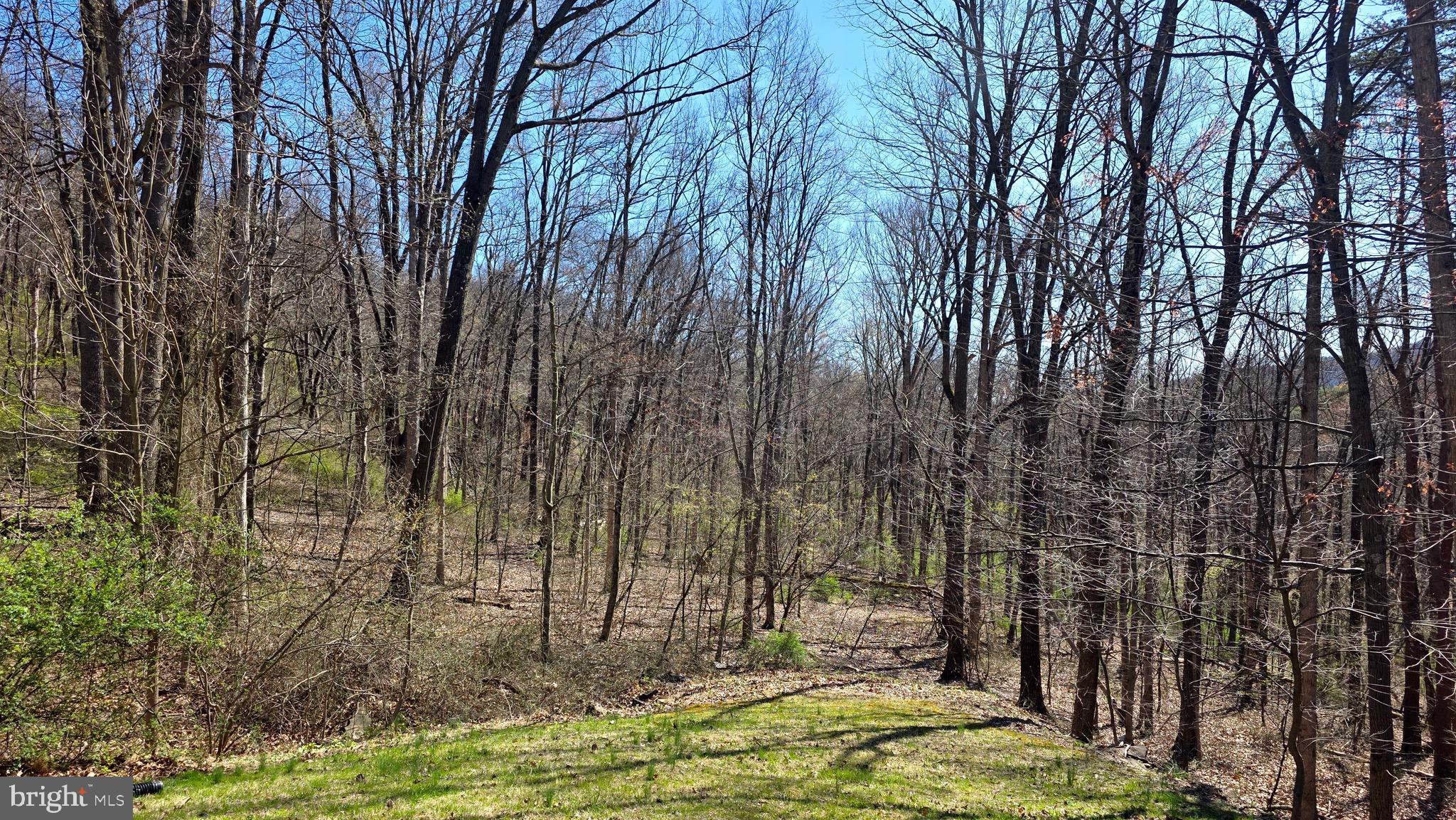 9206 Barkley Lane Huntingdon, PA 16652 - Photo 81 of 88