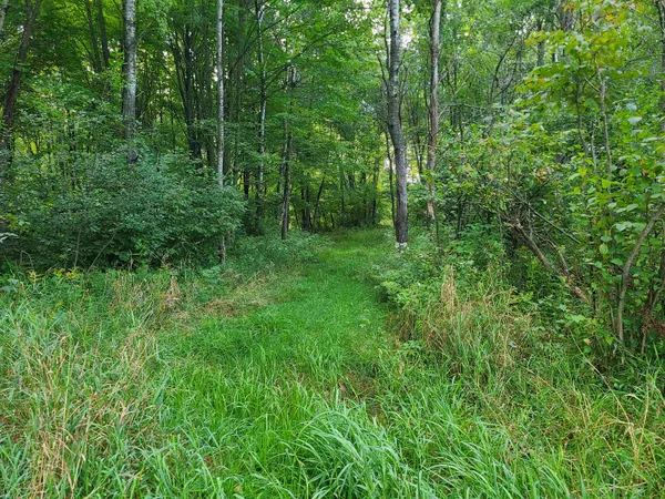 $229,000 | 239095 Dawson Road, Athens, WI 54411