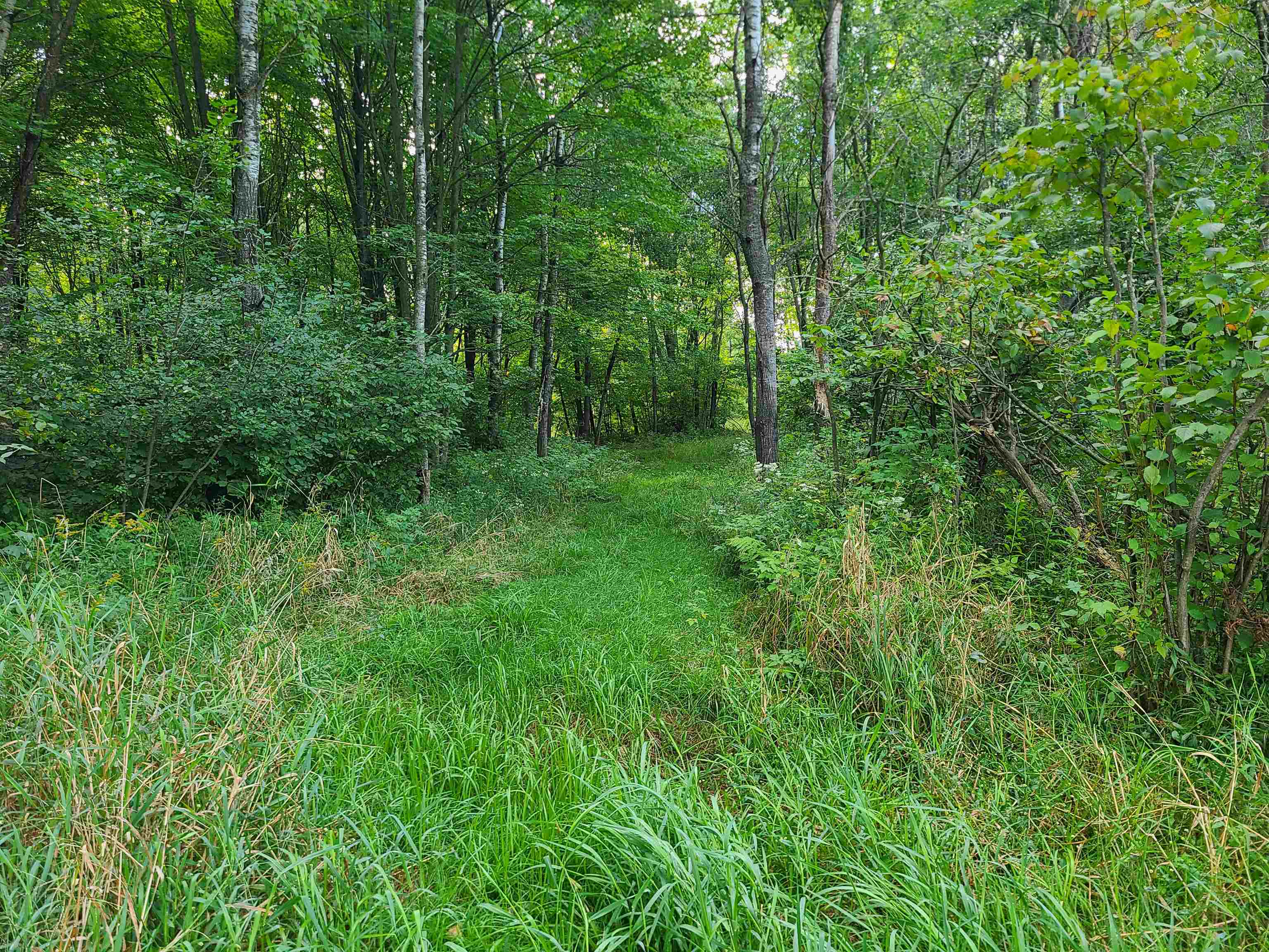 239095 Dawson Road Athens, WI 54411 - Photo 1 of 21