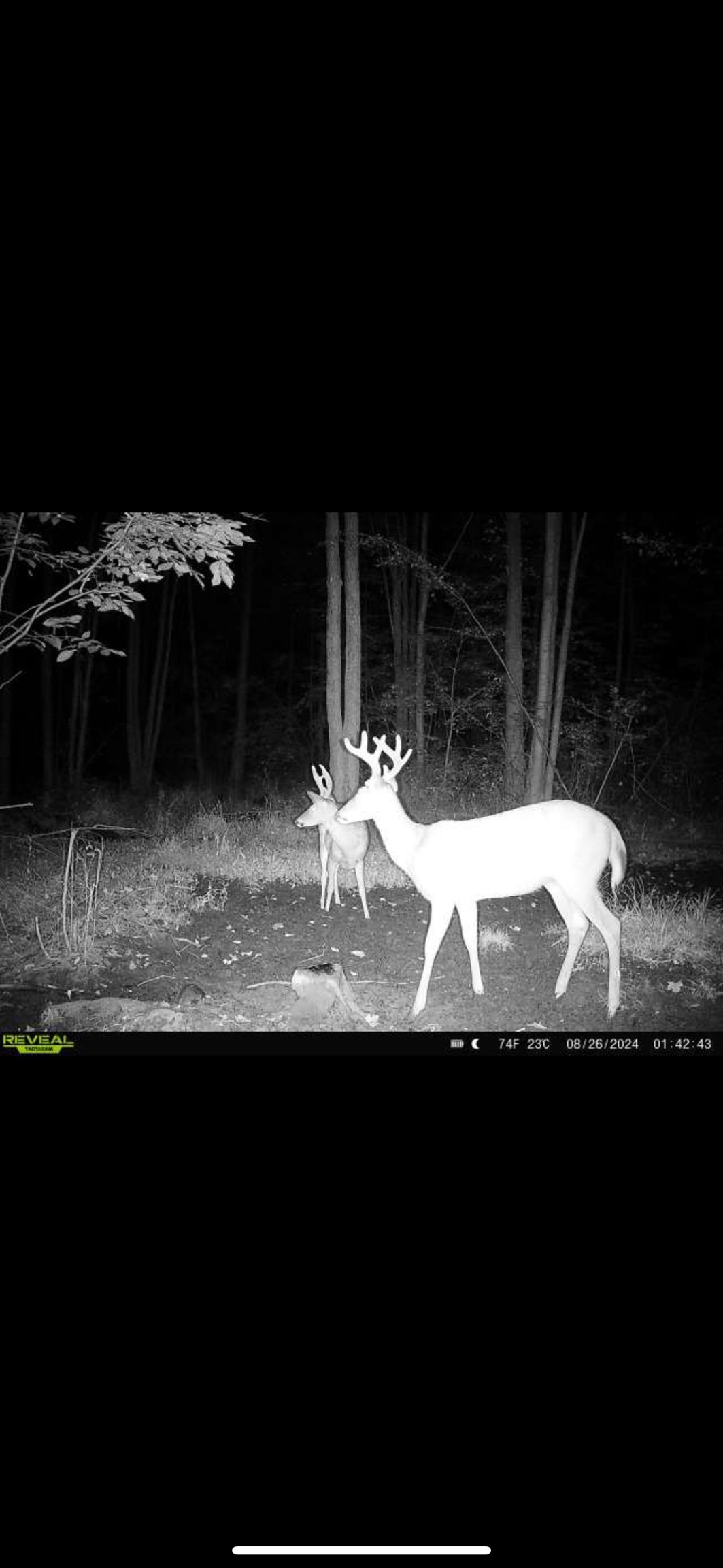 239095 Dawson Road Athens, WI 54411 - Photo 13 of 21
