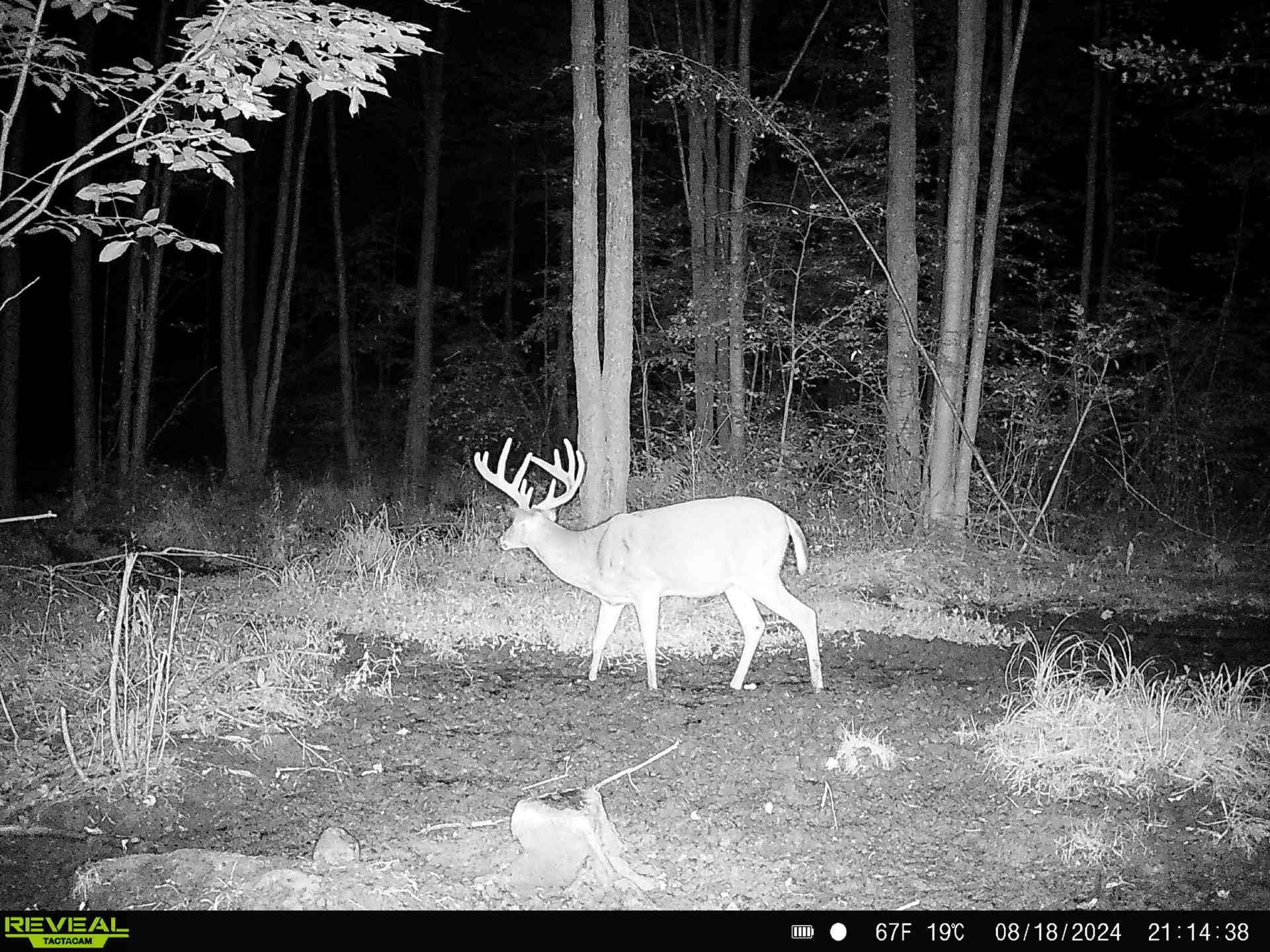 239095 Dawson Road Athens, WI 54411 - Photo 14 of 21