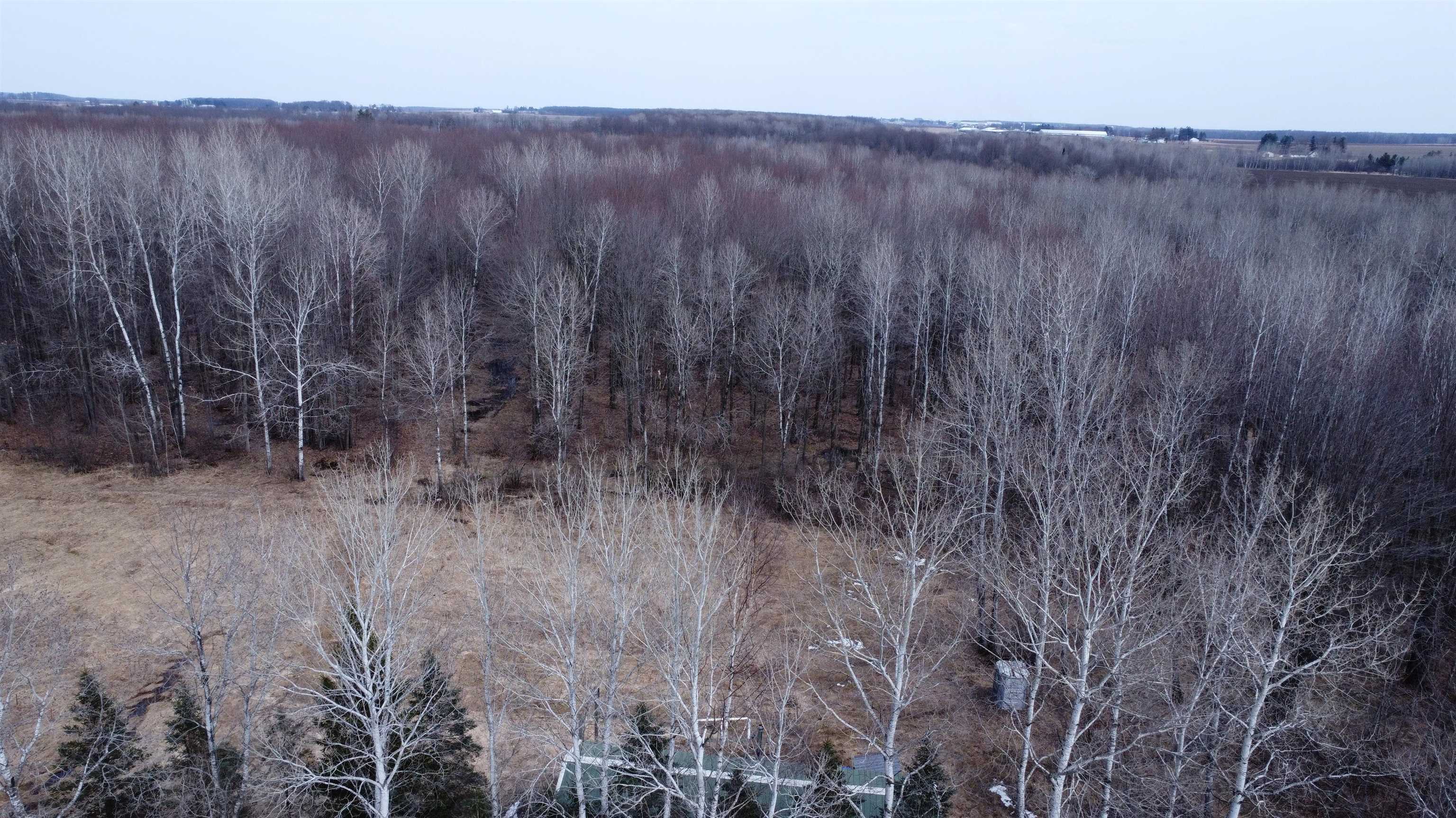 239095 Dawson Road Athens, WI 54411 - Photo 21 of 21