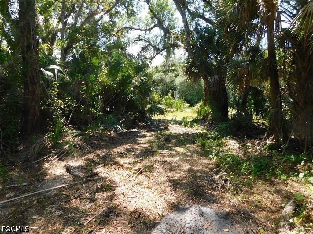 14971 Duke Highway Alva, FL 33920 - Photo 6 of 9 a view of outdoor space and tree