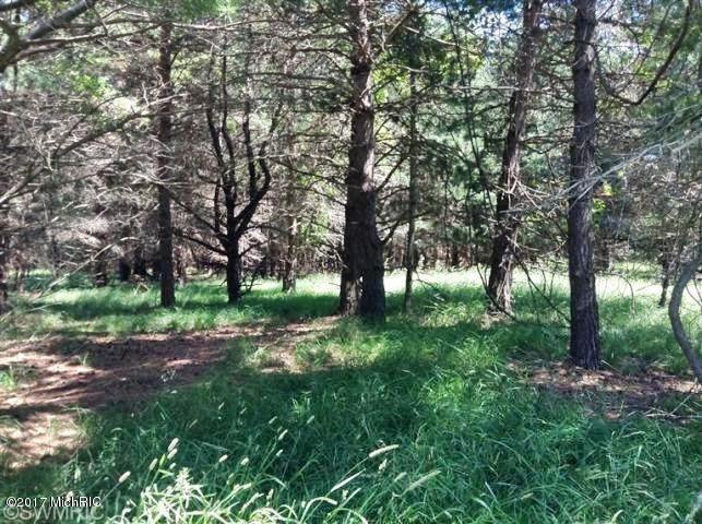 Ramsdell Road Manistee, MI 49660 - Photo 1 of 12 1