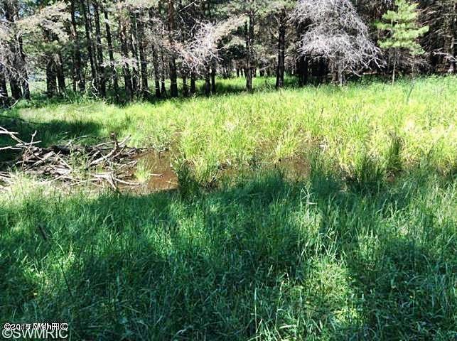 Ramsdell Road Manistee, MI 49660 - Photo 11 of 12 11