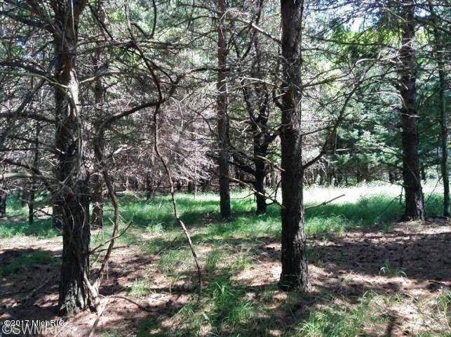 Ramsdell Road Manistee, MI 49660 - Photo 3 of 12 3