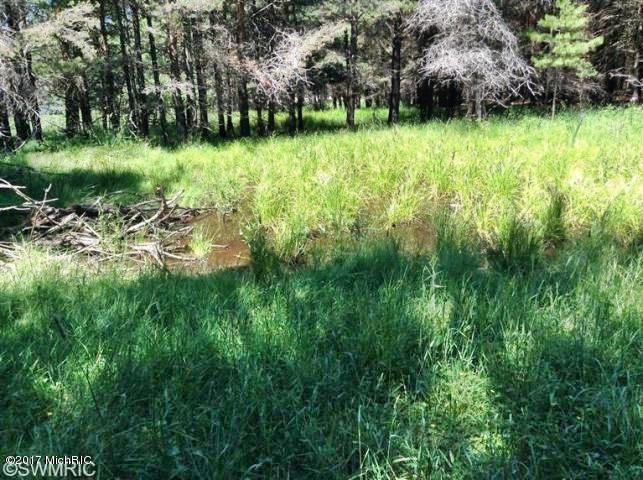Ramsdell Road Manistee, MI 49660 - Photo 4 of 12 4