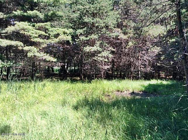 Ramsdell Road Manistee, MI 49660 - Photo 5 of 12 5