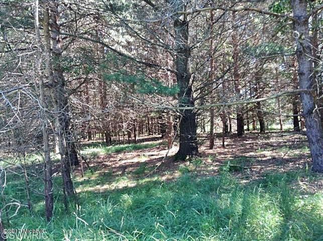 Ramsdell Road Manistee, MI 49660 - Photo 6 of 12 6