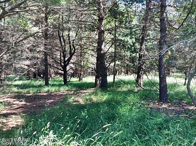 Ramsdell Road Manistee, MI 49660 - Photo 7 of 12 7