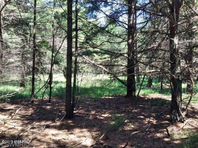 Ramsdell Road Manistee, MI 49660 - Photo 8 of 12 8