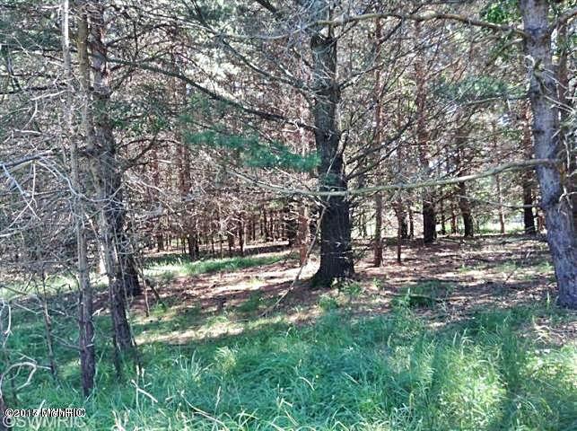 Ramsdell Road Manistee, MI 49660 - Photo 9 of 12 9