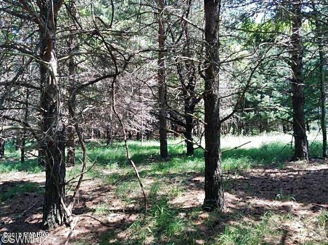 Ramsdell Road Manistee, MI 49660 - Photo 10 of 12 10