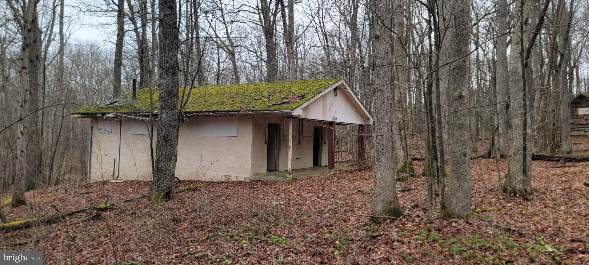 Camp Galilee Road Terra Alta, WV 26764 - Photo 31 of 40