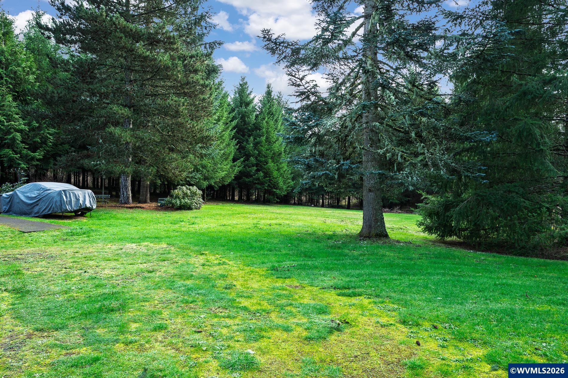 27572 South Kinzy Road Estacada, OR 97023 - Photo 48 of 50 a view of a garden with a tree in the background