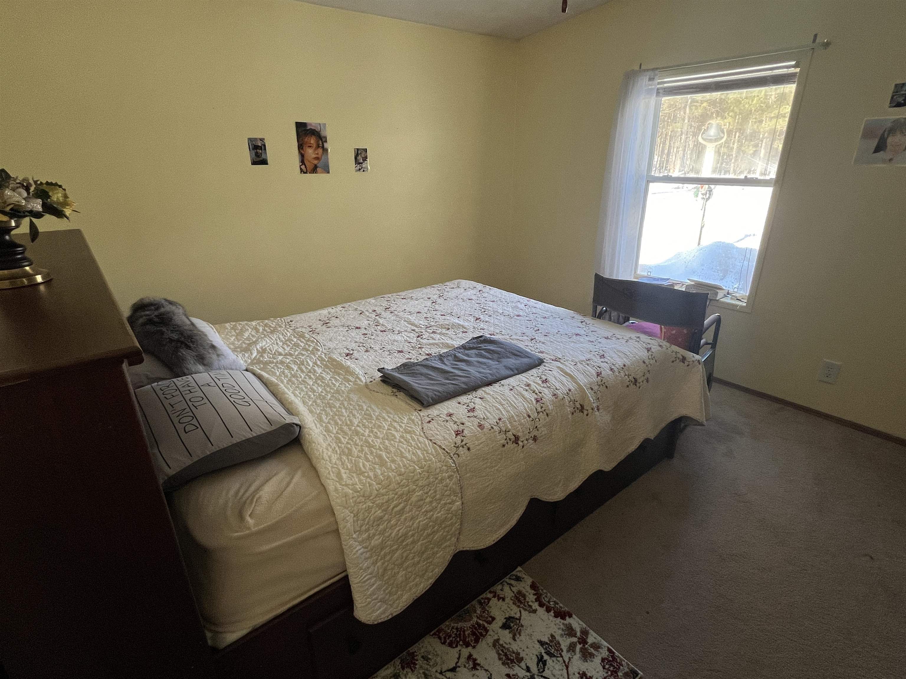 135 Montgomery Road Southwest South Boardman, MI 49680 - Photo 32 of 59
