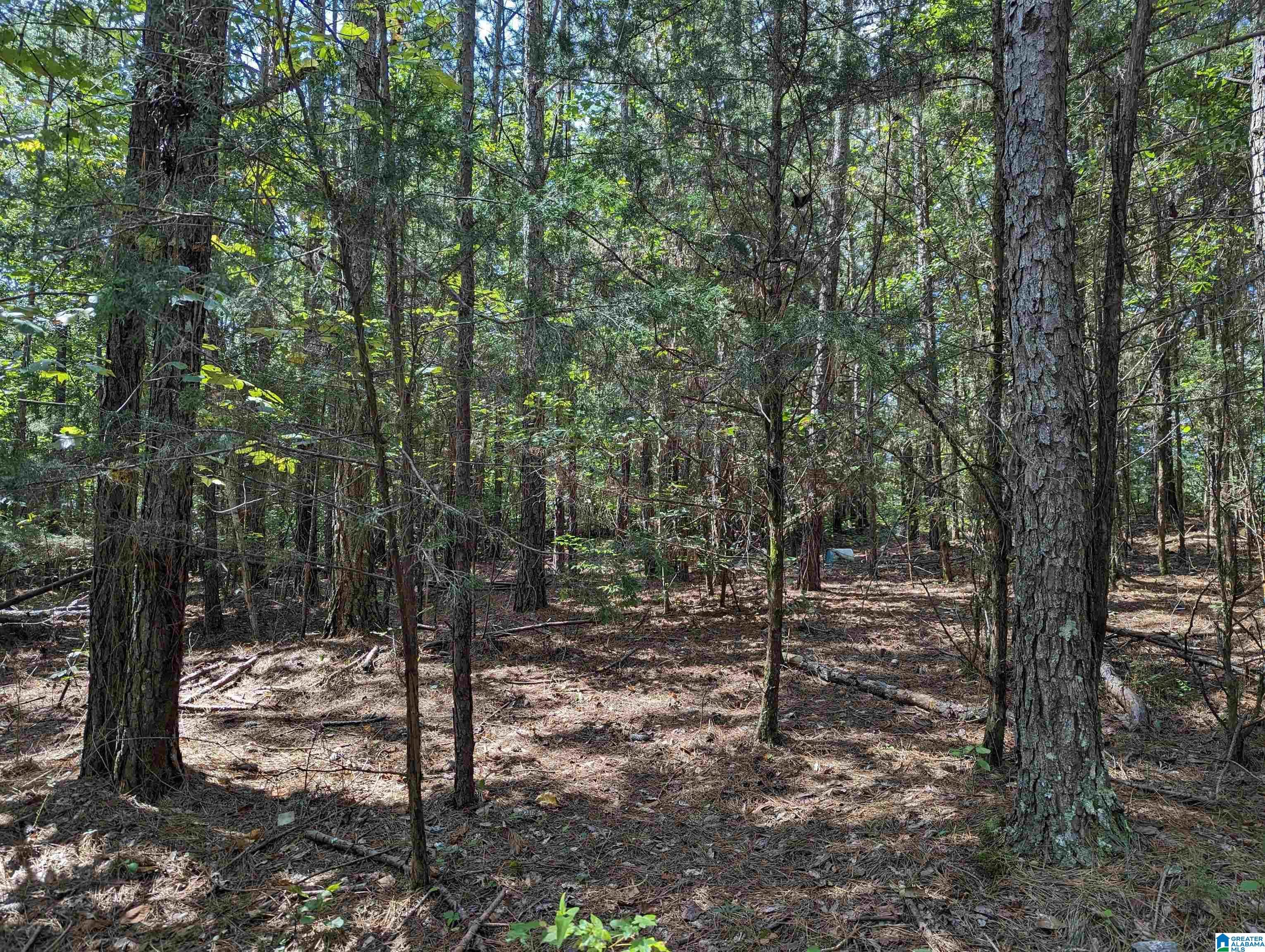 534 County Road, Unit 35 Woodland, AL 36280 - Photo 14 of 22