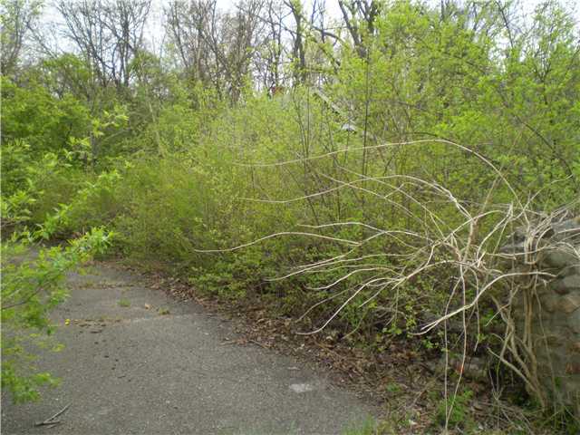 173 East Wilson Bridge Road Columbus, OH 43085 - Photo 2 of 3