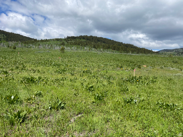 400 Maggi Road, Unit 4 Montpelier, ID 83254 - Photo 21 of 23