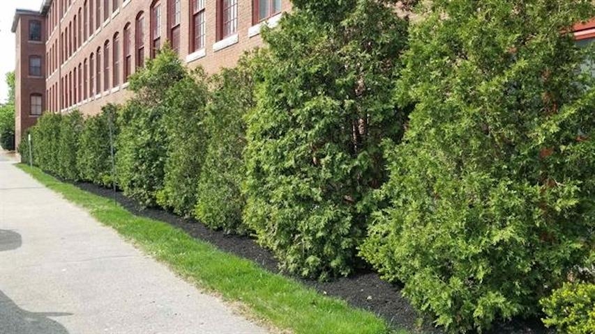 470 Silver Street, Unit 413 Manchester, NH 03103 - Photo 34 of 44