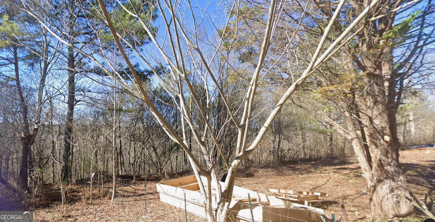 0 Buttercup Lane Ringgold, GA 30736 - Photo 3 of 3