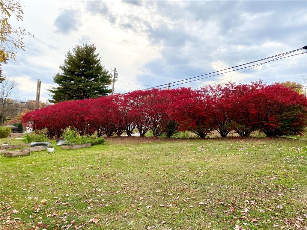 114 Johnetta Road Vandergrift, PA 15690 - Photo 44 of 50 Fall burning bushes