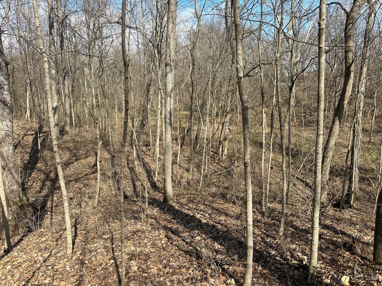 0 Wilson Road Winchester, OH 45697 - Photo 26 of 69