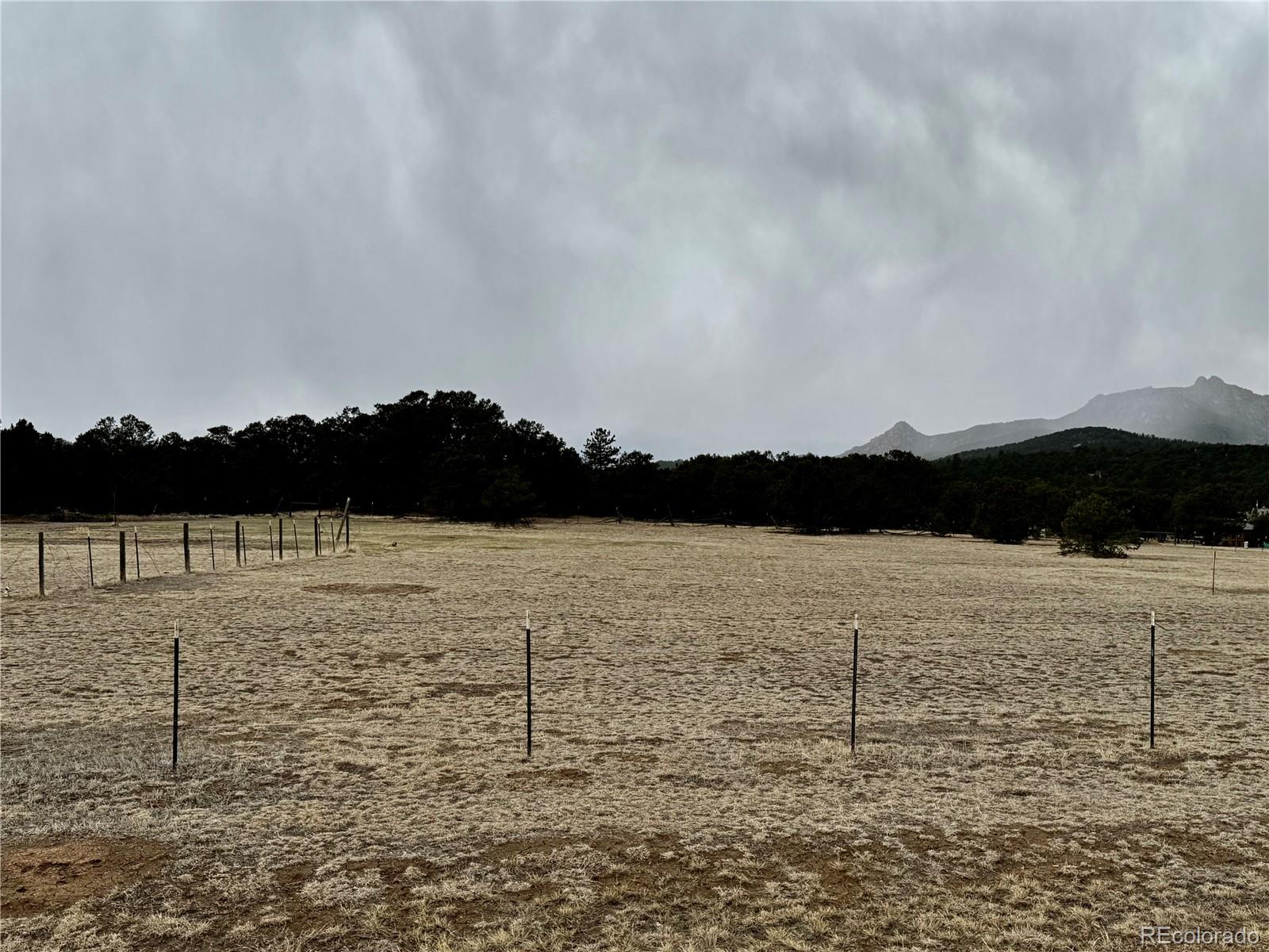 763 17th Trail Cotopaxi, CO 81223 - Photo 3 of 37