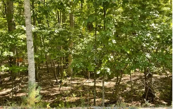 $189,900 | 8-ac Payne Way, Resaca, GA 30735