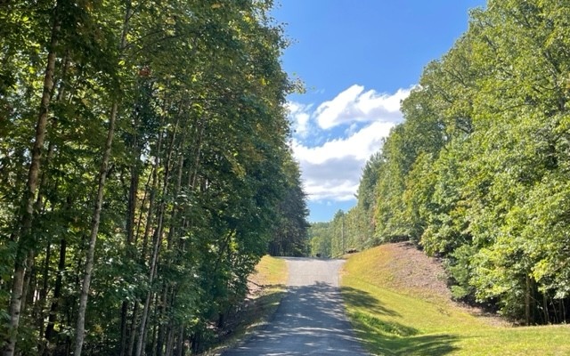 8-ac Payne Way Resaca, GA 30735 - Photo 6 of 8 Additional View