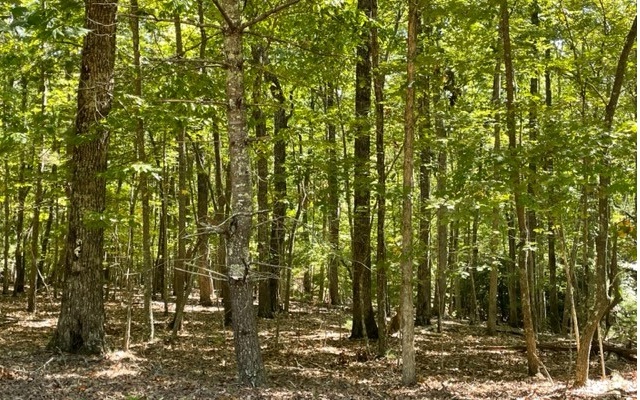 8-ac Payne Way Resaca, GA 30735 - Photo 7 of 8 Additional View