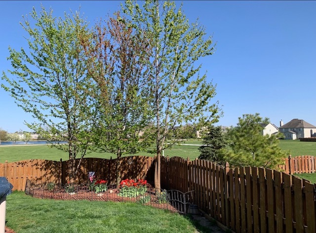 1616 Stanton Lane Plainfield, IL 60586 - Photo 36 of 40 a view of a garden