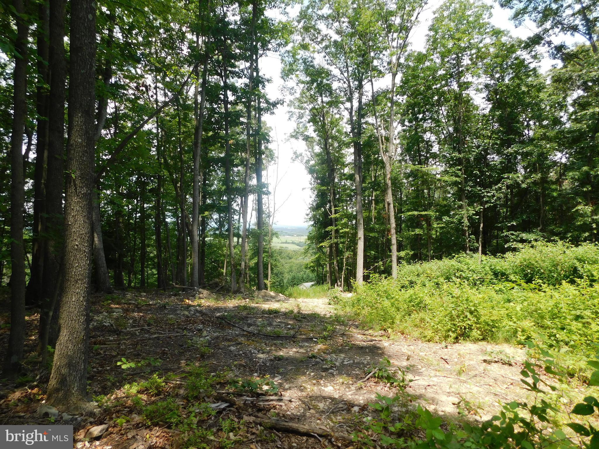 0 Larkin Ridge Road Front Royal, VA 22630 - Photo 13 of 14 a view of outdoor space and yard