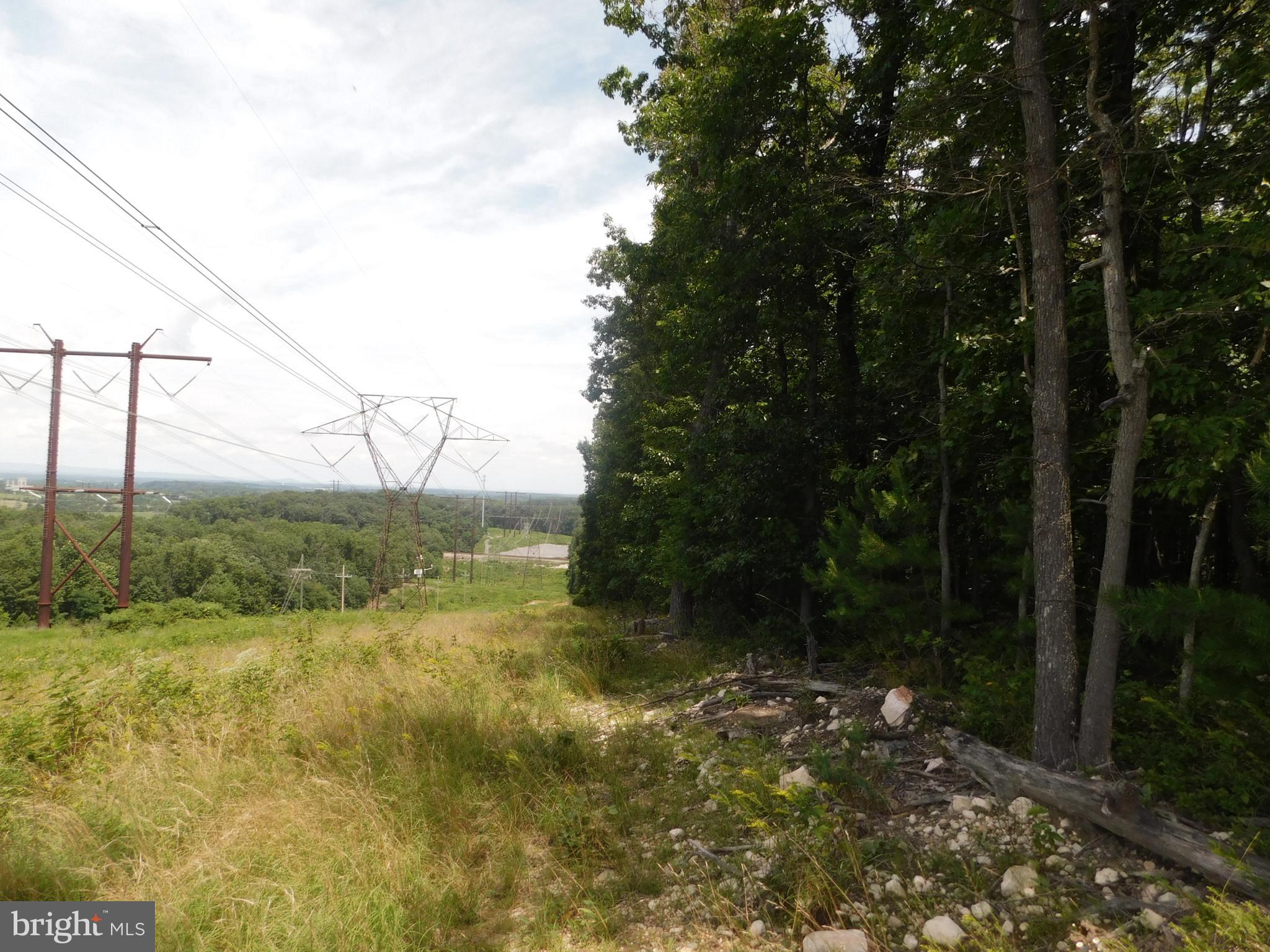 0 Larkin Ridge Road Front Royal, VA 22630 - Photo 2 of 14 a view of lake with green space