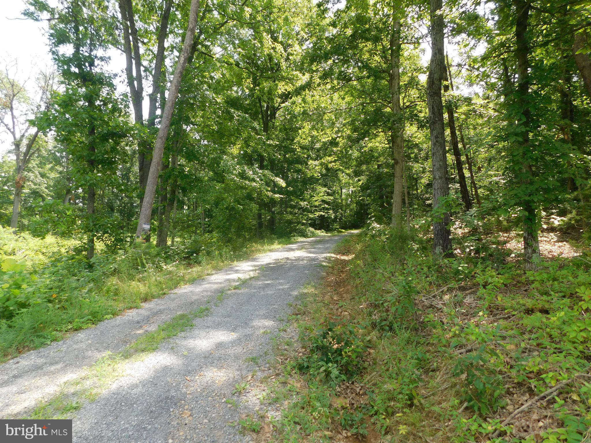 0 Larkin Ridge Road Front Royal, VA 22630 - Photo 3 of 14 a view of a yard with plants and large trees