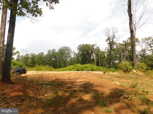 a view of lake with tree