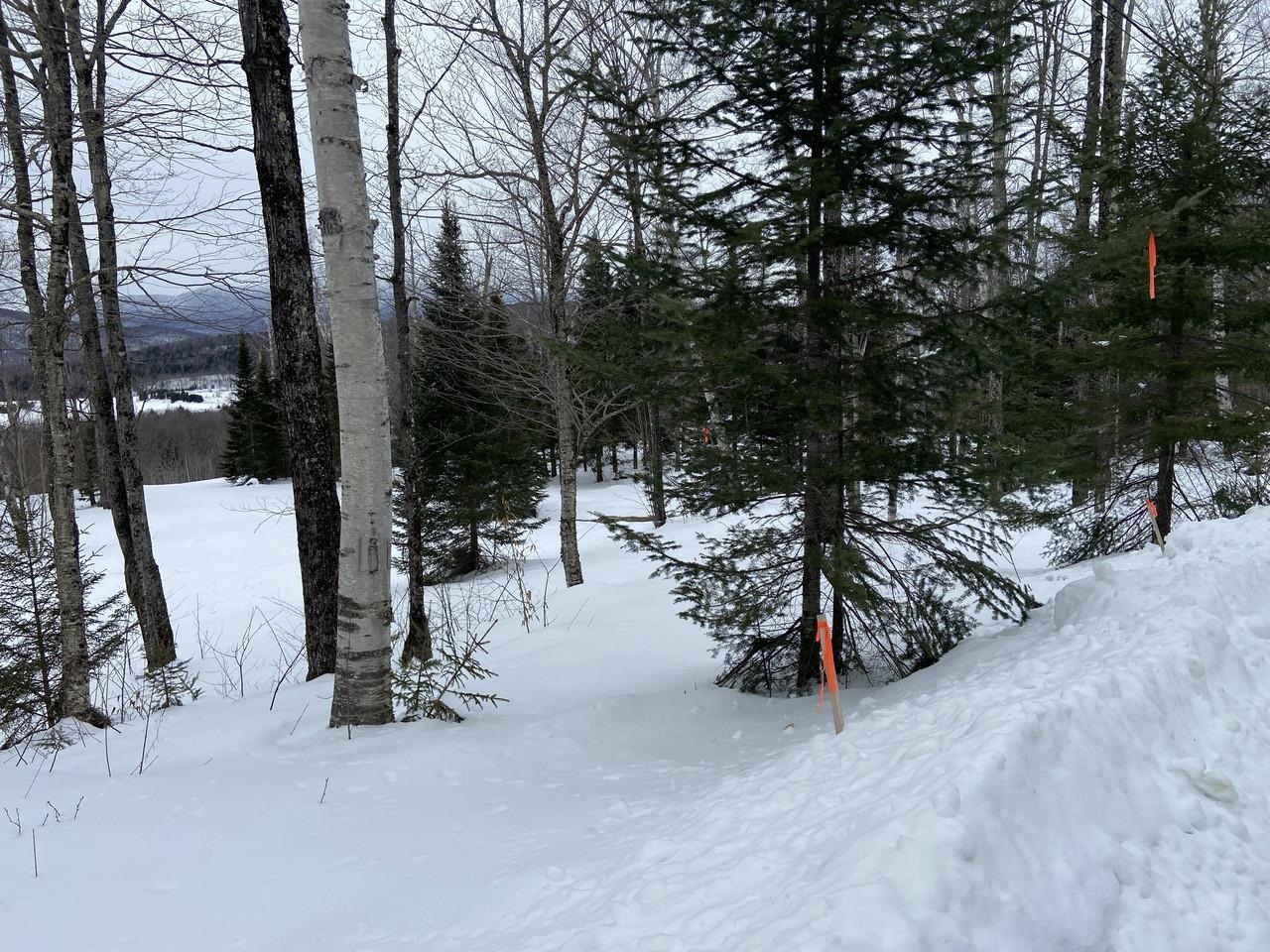 48 Alberts Lane Warren, VT 05674 - Photo 16 of 16