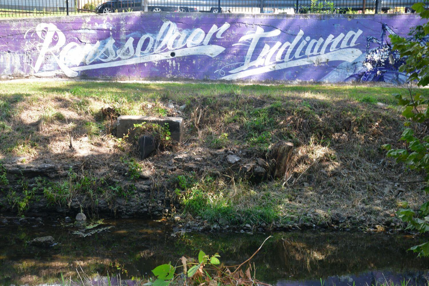 513 North College Avenue Rensselaer, IN 47978 - Photo 27 of 29 a view of swimming pool of a house with a yard