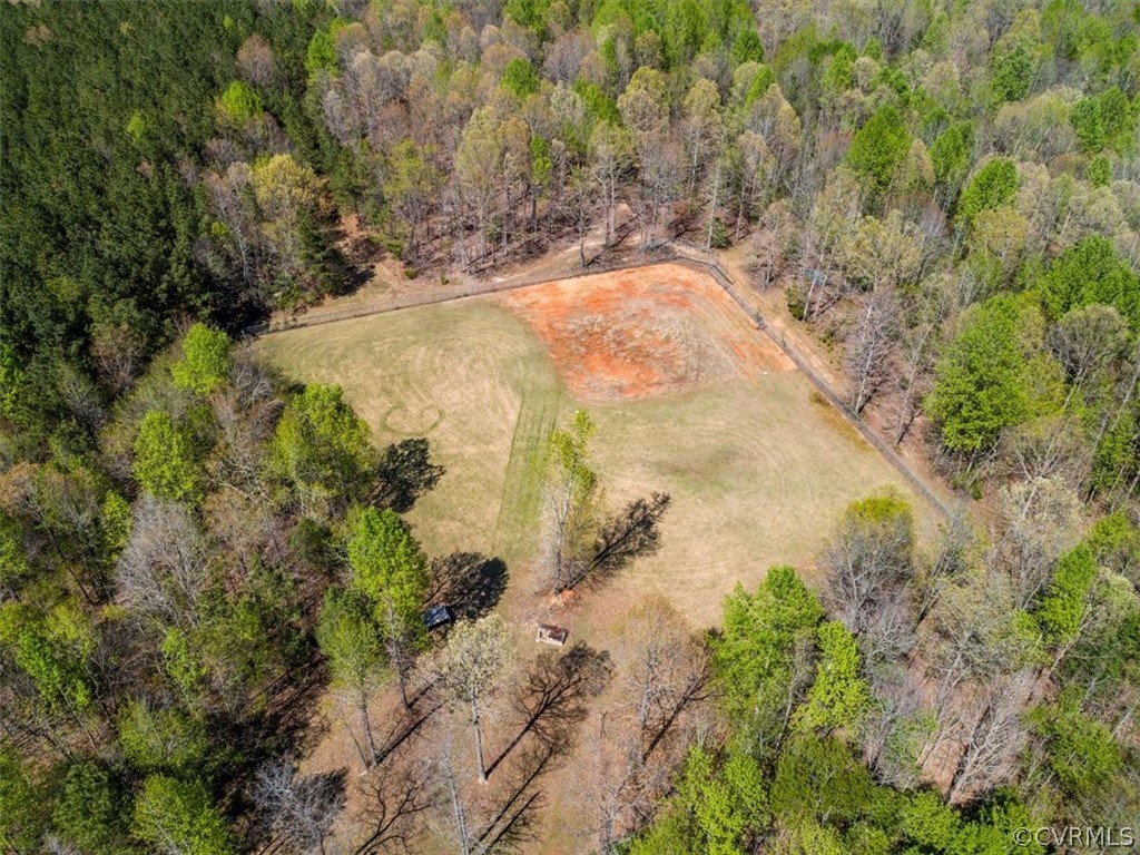 11736 Winterpock Road Chesterfield, VA 23838 - Photo 48 of 50 a view of a yard with trees