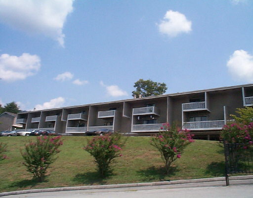 1000 Reads Lake Road, Unit 317 Chattanooga, TN 37415 - Photo 1 of 1 Primary Photo